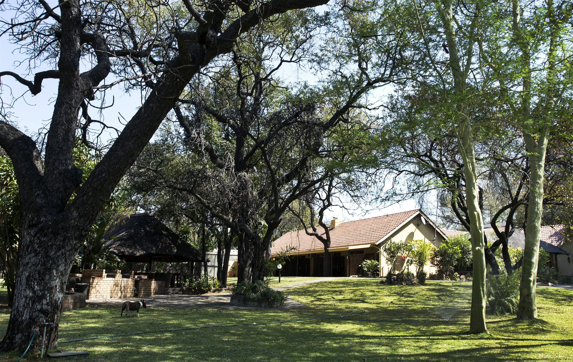 Sunbird Lodge ファラボルワ エクステリア 写真